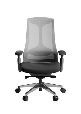Tilt Mechanism Office Revolving Chairs 3 / 5 Positions With Sliding