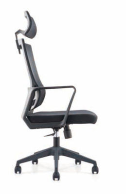 DIOUS Mesh Arm Chair