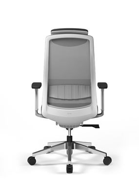 DIOUS Office Mesh Chairs