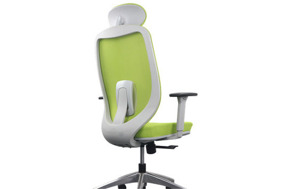 Green Mesh Adjustable Ergonomic Chair , H1165-1260MM Ergo Computer Chair